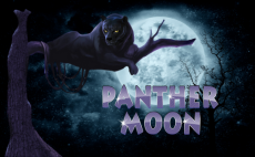 Panther Moon Slot Winning Odds: 45%